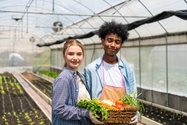 Genç erkekler ve kadınlar sebze bahçesinde çalışıyor. Çiftçiler ürünlerini organik çiftliklerinde sergiliyorlar..