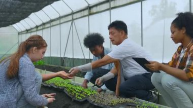 Bitkiler için bir serada birlikte çalışan dost canlısı bir çiftçi. Çiftçi Eğitimi. Çiftçiler sebze çiftliğinde mutlulukla çalışıyorlar..