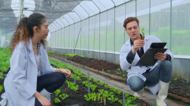 Bilim adamları çözümü test ediyor. Bilim adamları organik hidrofonik çiftliği inceliyor..