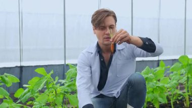 Bilim adamları çözümü test ediyor. Bilim adamı sera çiftliğindeki bitkileri inceliyor.. 