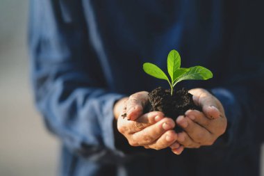 Dünya Çevre Günü konsepti ve sürdürülebilirlik