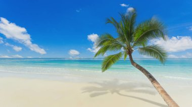 Güzel deniz hindistan cevizi ağaçları Açık okyanus yaz manzarası.