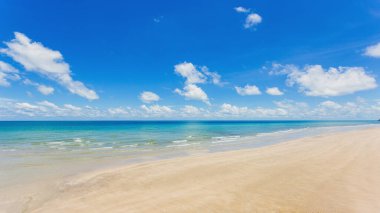 Güzel deniz hindistan cevizi ağaçları Açık okyanus yaz manzarası.