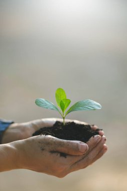 Dünya Çevre Günü ve bulanık doğa arka planında sürdürülebilirlik kavramı dikey