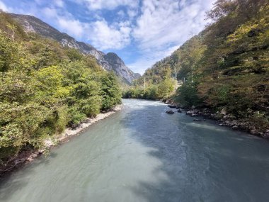 Dağlardan akan bir dağ nehri yeşil bir vadide, Soçi, Rusya