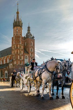 Krakow, Poland - November 12, 2022: beautiful vintage horse carriage in front of the Bazylika Mariacka on the Market square in Krakow