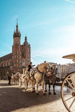 Krakow, Poland - November 12, 2022: beautiful vintage horse carriage in front of the Bazylika Mariacka on the Market square in Krakow
