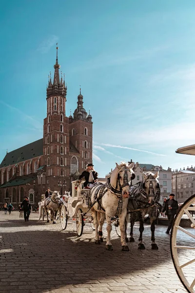 Krakow, Poland - November 12, 2022: beautiful vintage horse carriage in front of the Bazylika Mariacka on the Market square in Krakow