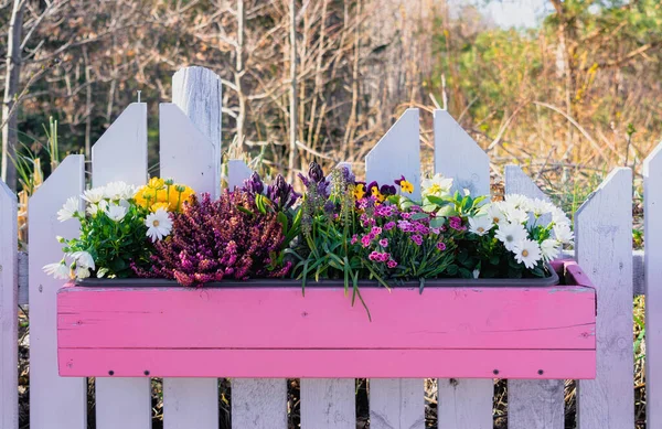 Maceta Con Flores Primavera Decoración Hogar Jardín — Foto de Stock