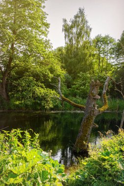 Bahar kırsal arazisi, nehir ve yeşil çayırlar