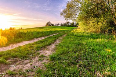 Yeşil bahar ekilir tarlalar ve günbatımı gökyüzü