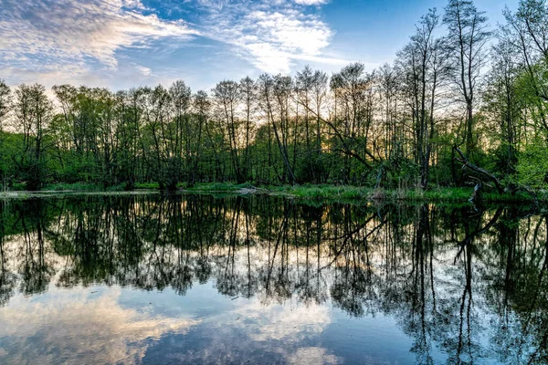 stock image Spring sunset rural landscape, forest reflected in the lake