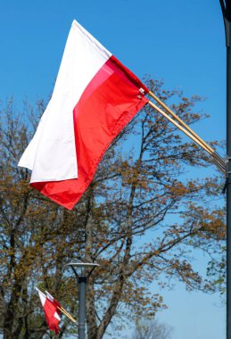 Polonya ulusal bayrağı. Beyaz-kırmızı bayrak