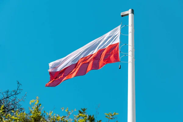 Bandera Nacional Polonia Banner Blanco Rojo — Foto de Stock