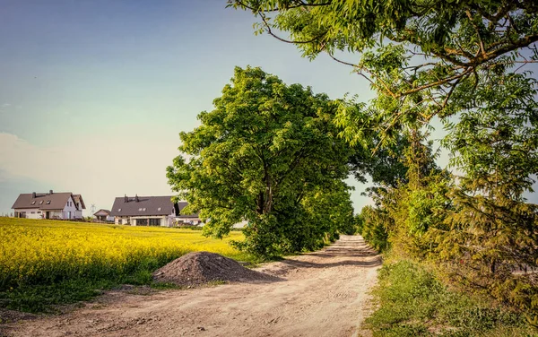 緑のフィールド 田園風景の間の未舗装の道路 — ストック写真