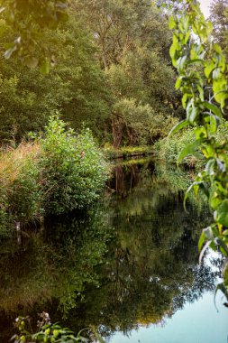 Bahar kırsal arazisi, nehir ve yeşil çayırlar