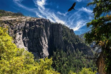 Yosemite Vadisi, Kaliforniya 'da yaz manzarası