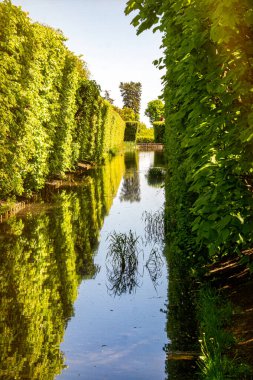  Pond in an old green park