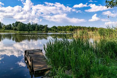 Güzel yaz Nogat nehri Malbork 'ta