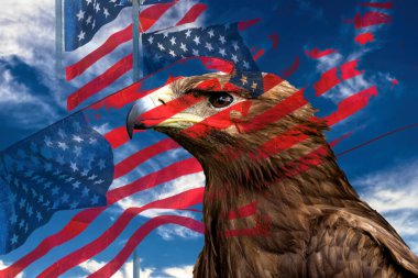 Kartal ve Amerikan bayrağı