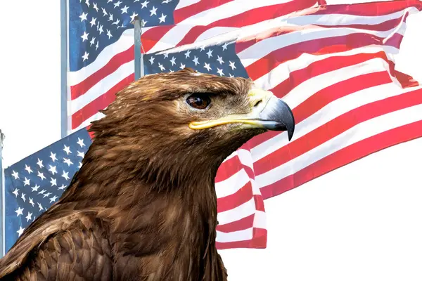 Kartal ve Amerikan bayrağı