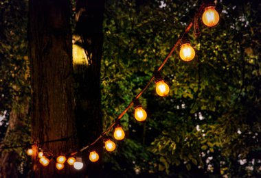 Yaz bahçesinde şen şakrak ampuller