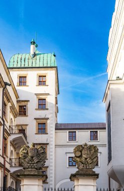 Szczecin, Polonya 'daki eski Kraliyet Kalesi