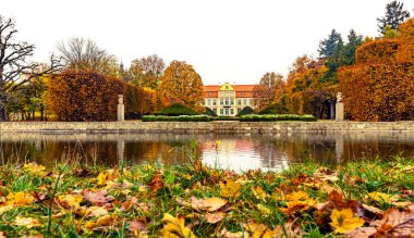 Gdansk Oliwa Parkı 'nda sonbaharda çimenler ve mimari