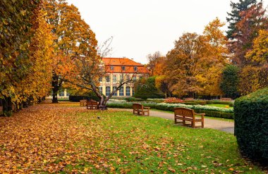 Gdansk Oliwa Parkı 'nda sonbaharda çimenler ve mimari