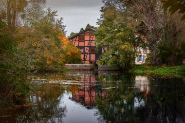 Su dolu bir gölet ve eski bir sonbahar bahçesi.