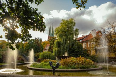 Olsztyn 'deki güzel sonbahar sabah parkı