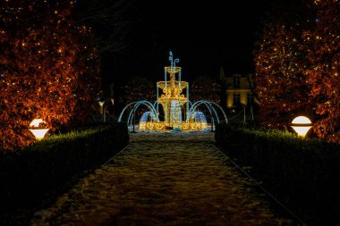 Güzel aydınlatılmış kış parkı. Gdansk 'taki Oliwa Parkı' nda Noel ışıkları ve süslemeleri