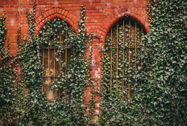 Güzel tuğla gotik terk edilmiş ev