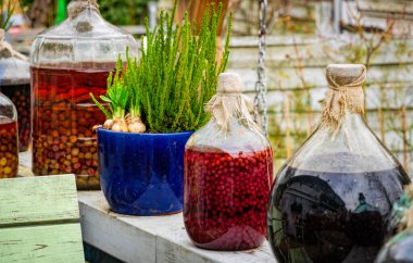 Mayalanmış böğürtlenli eski cam şişe. Avrupa 'da kırsal şarap üretimi