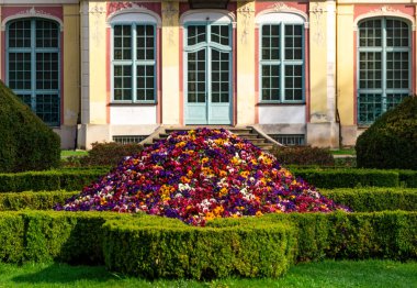 Gdansk 'taki Oliwa Park' ta çim ve çiçek yatakları.