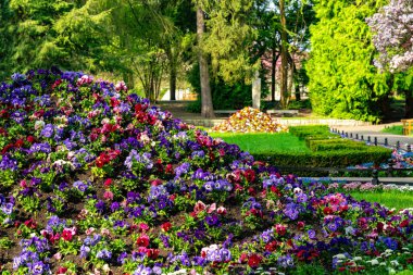 Gdansk 'taki Oliwa Park' ta çim ve çiçek yatakları.