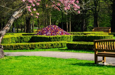 Gdansk 'taki Oliwa Park' ta çim ve çiçek yatakları.