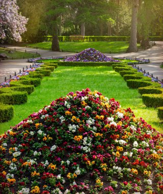 Gdansk 'taki Oliwa Park' ta çim ve çiçek yatakları.