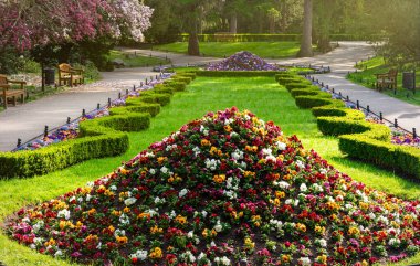 Gdansk 'taki Oliwa Park' ta çim ve çiçek yatakları.