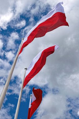 Polonya ulusal bayrağı. Beyaz-kırmızı bayrak