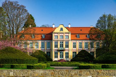 Gdansk 'taki Oliwa Park' ta çim ve çiçek yatakları.