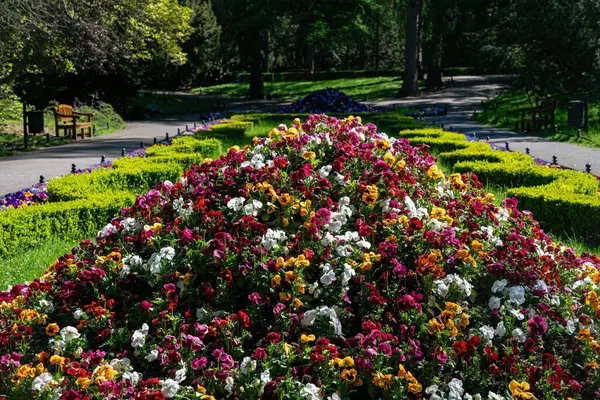  Gdansk 'taki Oliwa Park' ta çim ve çiçek yatakları.