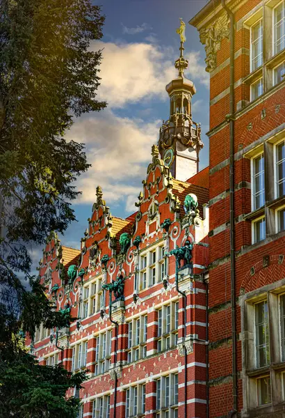 Politechnika Gdansk 'ın güzel tarihi binası, üniversite
