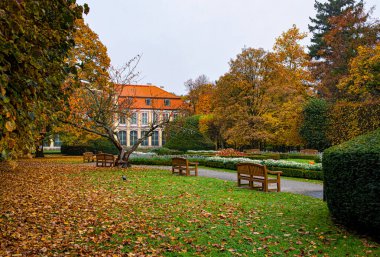 Güzel renkli sonbahar parkı. Düşen yapraklar ve park bankı
