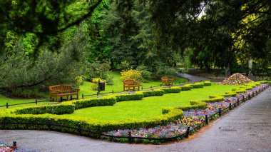 Gdansk 'taki Oliwa Park' ta çim ve çiçek yatakları.