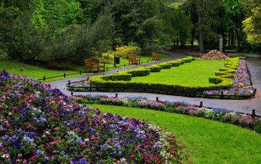 Gdansk 'taki Oliwa Park' ta çim ve çiçek yatakları.
