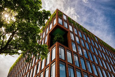 Modern ofis binasının pencereleri. İş konsepti