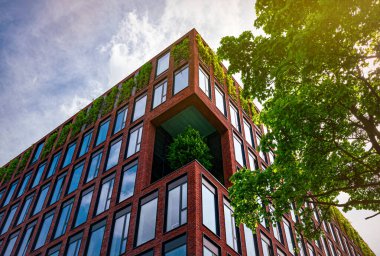 Modern ofis binasının pencereleri. İş konsepti