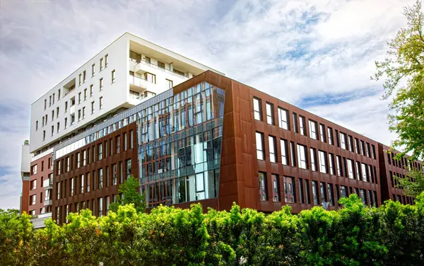 Modern ofis binasının pencereleri. İş konsepti