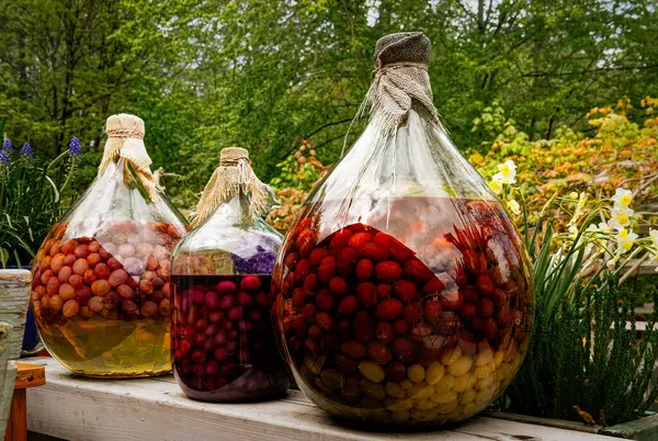 Şişe ve şarapla dolu bir hayat